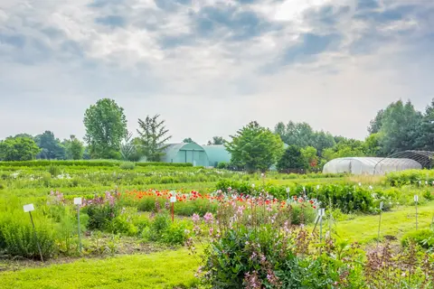 Arzneipflanzengarten Terra Medica
